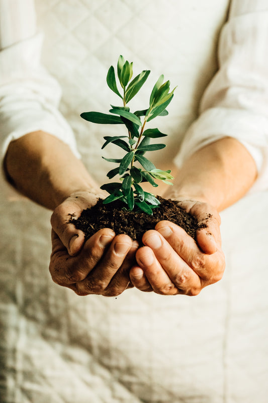 Healing from the Inside Out: How Holistic Health Can Transform Your Life